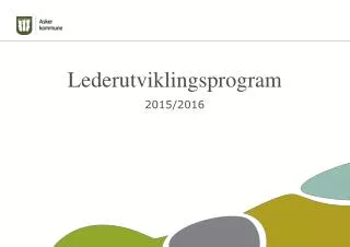 lederutviklingsprogram