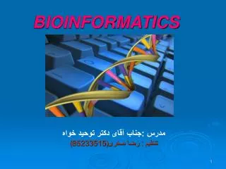 BIOINFORMATICS