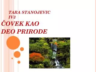 tara stanojevic iv3