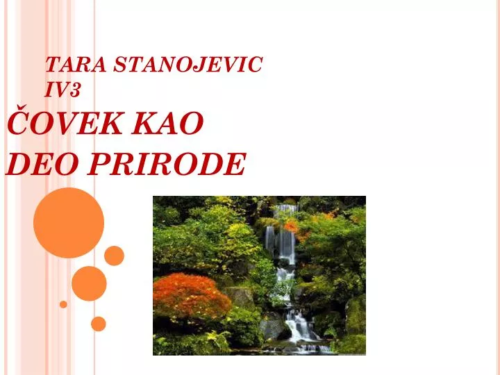 tara stanojevic iv3