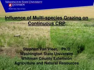 Influence of Multi-species Grazing on Continuous CRP
