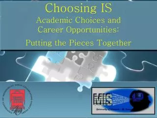 Choosing IS Academic Choices and Career Opportunities: Putting the Pieces Together