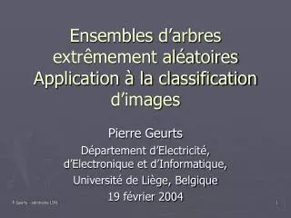 ensembles d arbres extr mement al atoires application la classification d images