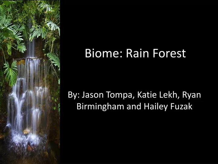 biome rain forest