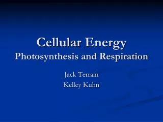 Cellular Energy Photosynthesis and Respiration