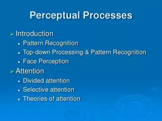 Perceptual Processes