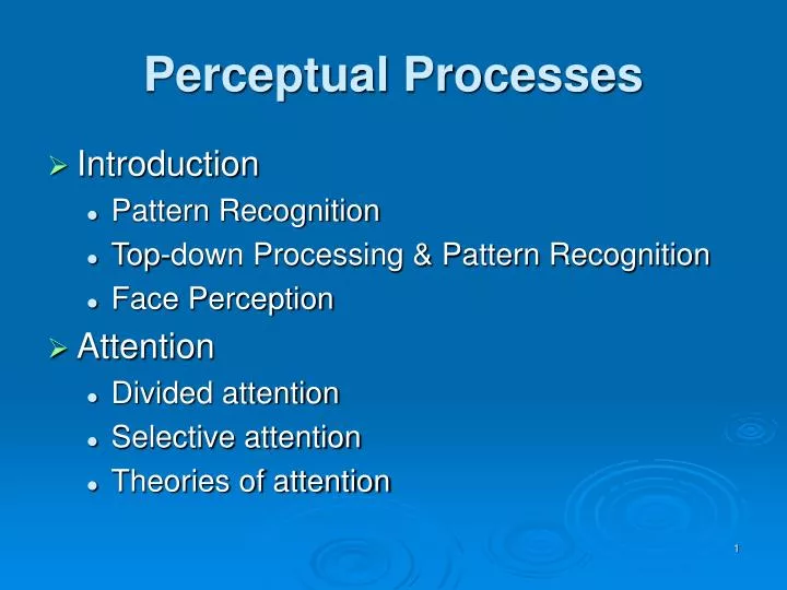 perceptual processes