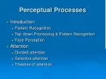 Perceptual Processes - slide 1