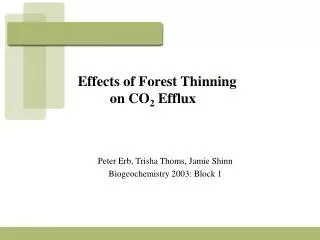 Effects of Forest Thinning on CO 2 Efflux