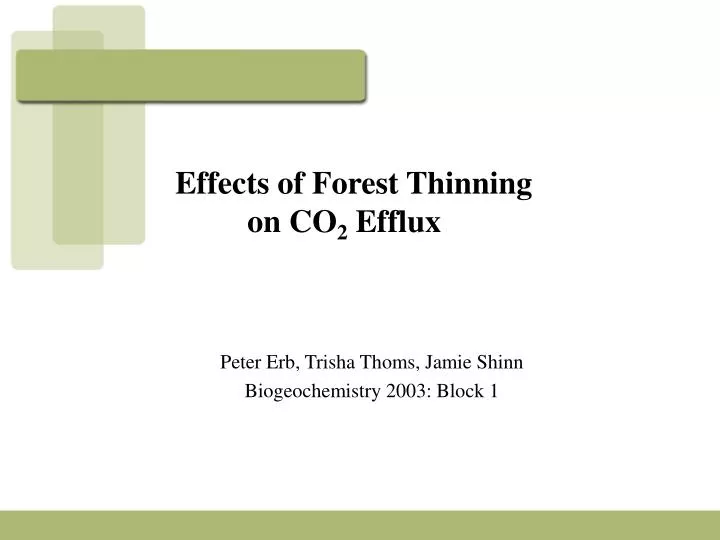 effects of forest thinning on co 2 efflux
