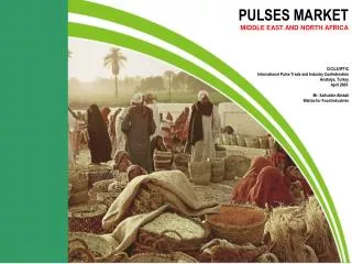 PULSES MARKET MIDDLE EAST AND NORTH AFRICA