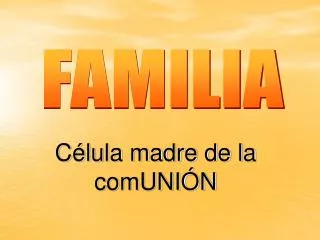 c lula madre de la comuni n