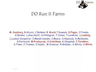 D0 Run II Farms