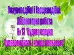 Плауноподібні і Хвощеподібні. Лабораторна робота № 13 “Будова плауна - slide 1