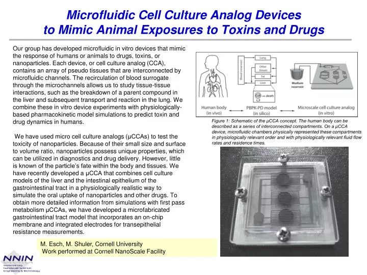 microfluidic cell culture analog devices to mimic animal exposures to toxins and drugs