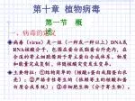 第十章 植物病毒 - slide 1
