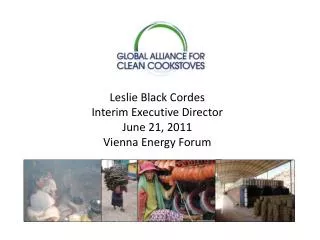 Leslie Black Cordes Interim Executive Director June 21, 2011 Vienna Energy Forum