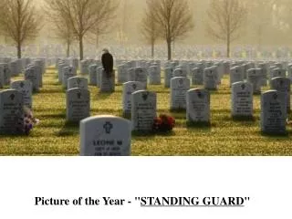 Picture of the Year - &quot; Standing Guard &quot;