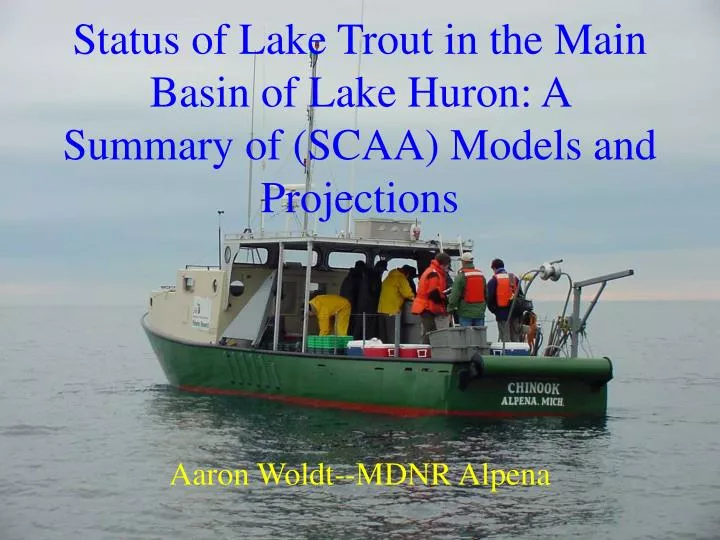 status of lake trout in the main basin of lake huron a summary of scaa models and projections