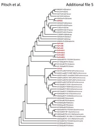 pitsch et al additional file 5