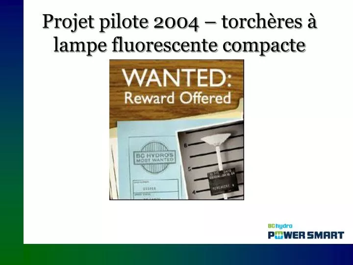 projet pilote 2004 torch res lampe fluorescente compacte