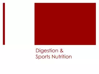 Digestion &amp; Sports Nutrition