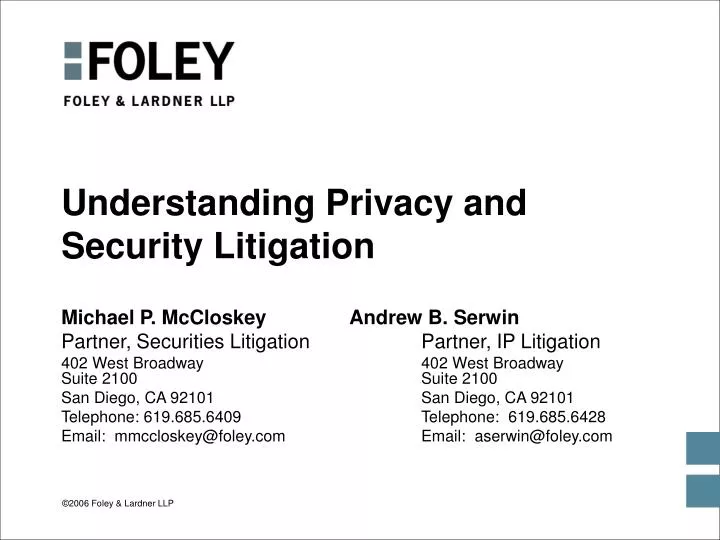 understanding privacy and security litigation