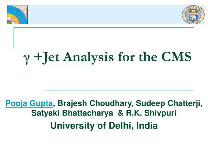 jet analysis for the cms