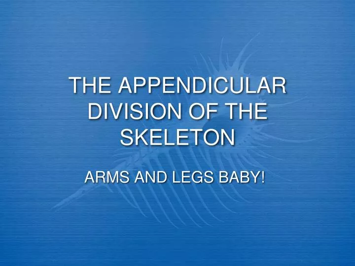 the appendicular division of the skeleton