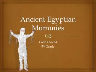 Ancient Egyptian M ummies