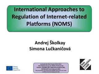 International Approaches to Regulation of Internet-related Platforms (NOMS)
