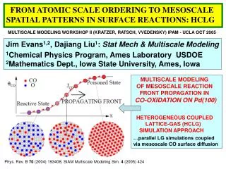 FROM ATOMIC SCALE ORDERING TO MESOSCALE SPATIAL PATTERNS IN SURFACE REACTIONS: HCLG
