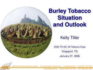Burley Tobacco Situation and Outlook
