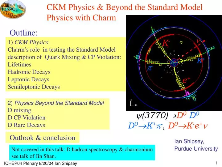 ckm physics beyond the standard model physics with charm