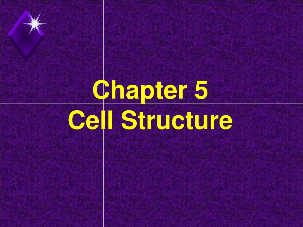 PPT - Chapter 5 Cell Structure PowerPoint Presentation, free download ...