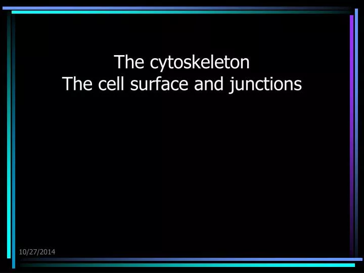 the cytoskeleton the cell surface and junctions