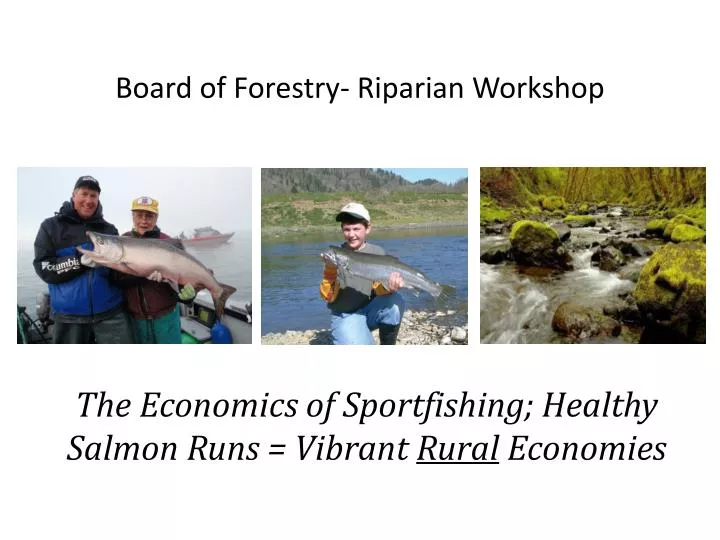 board of forestry riparian workshop