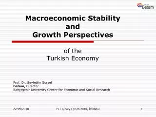 Macroeconomic Stability and Growth Perspectives of the Turkish Economy