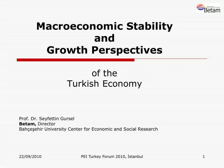macroeconomic stability and growth perspectives of the turkish economy