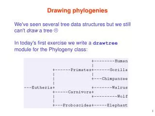 Drawing phylogenies