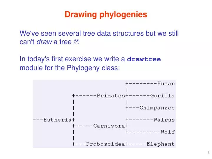 drawing phylogenies