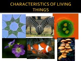 CHARACTERISTICS OF LIVING THINGS
