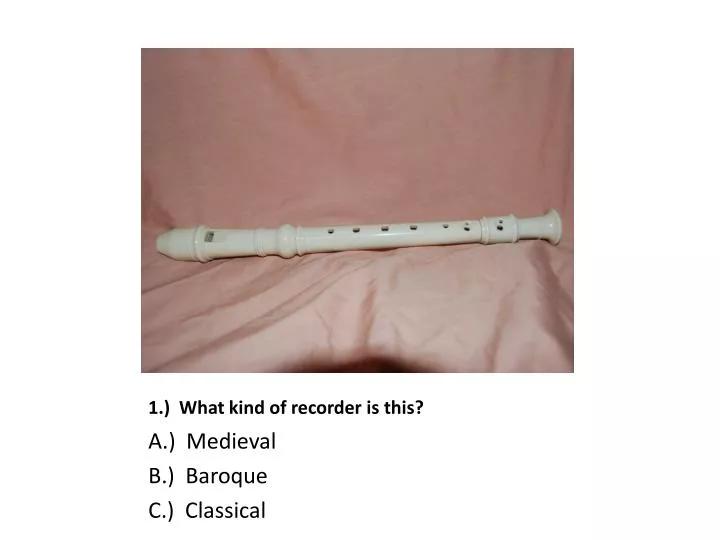 1 what kind of recorder is this