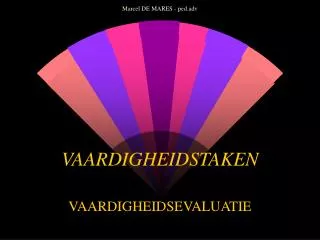 vaardigheidstaken