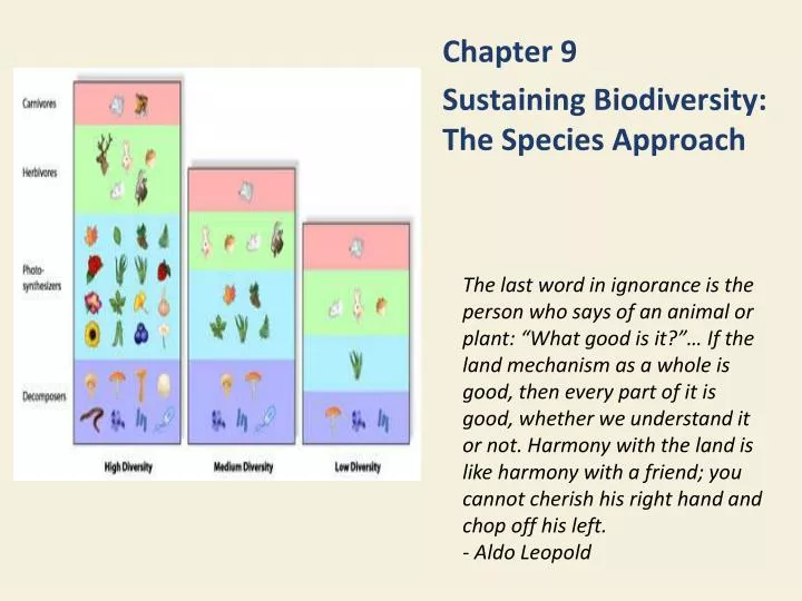 chapter 9 sustaining biodiversity the species approach