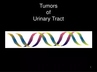 Tumors of Urinary Tract
