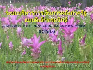 government fiscal management information system gfmis