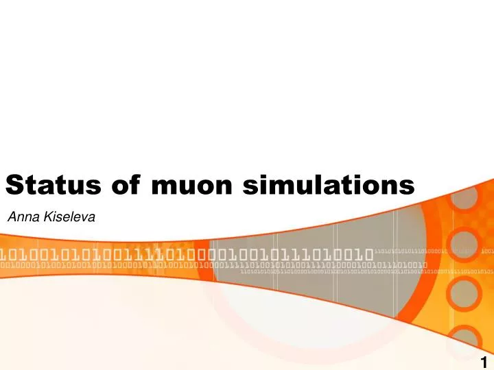 status of muon simulations