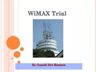WiMAX Trial