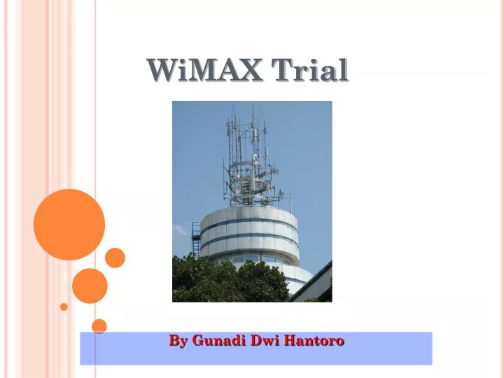 wimax trial